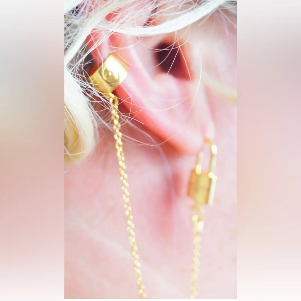 Beautiful authentic LV earrings - Picture 2 of 16